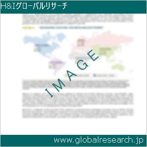 グローバルリサーチ調査レポートのイメージ